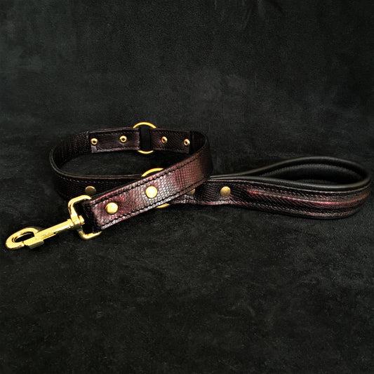 The ''COBRA'' leash-0